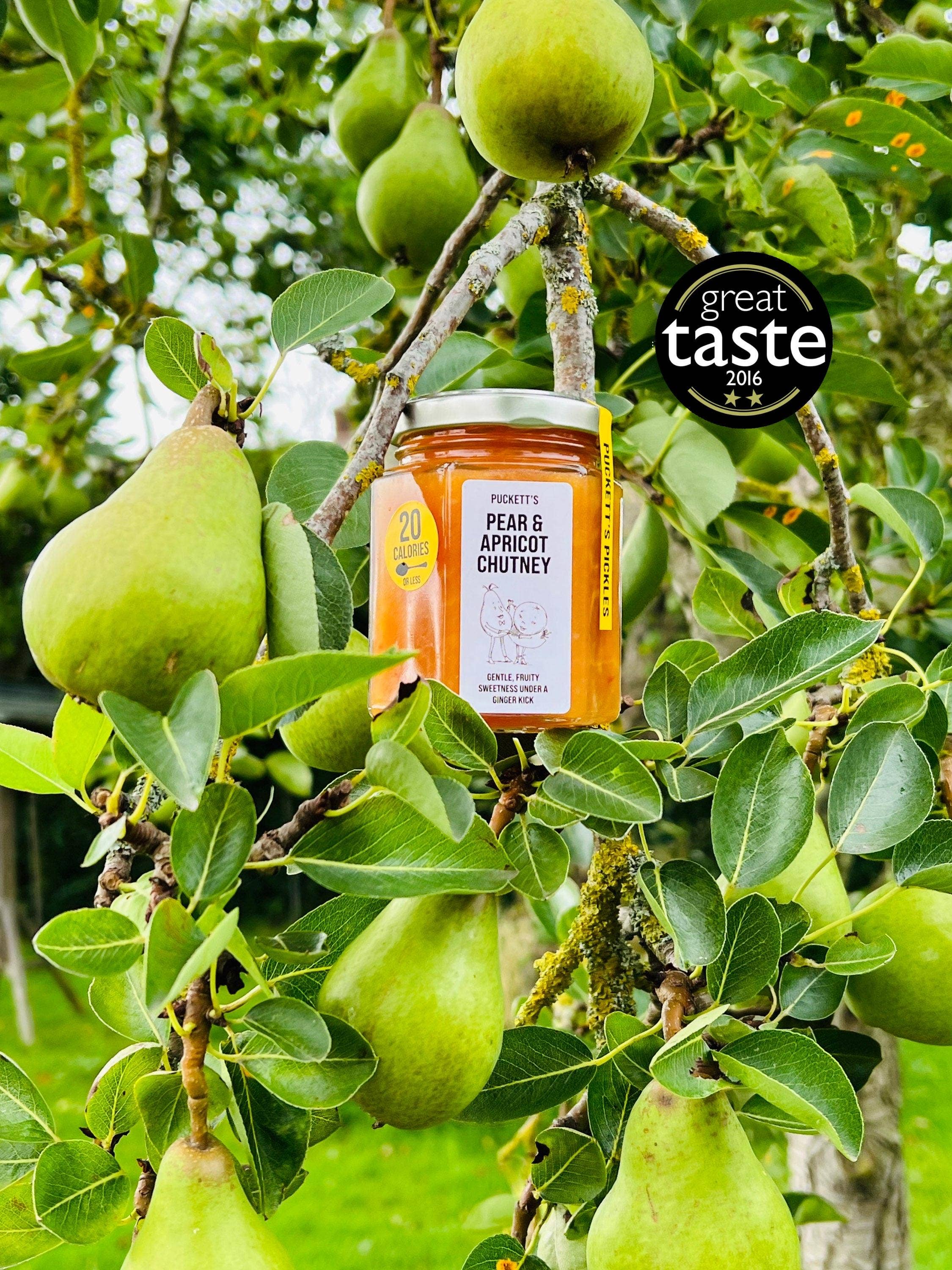 Pear & Apricot Chutney