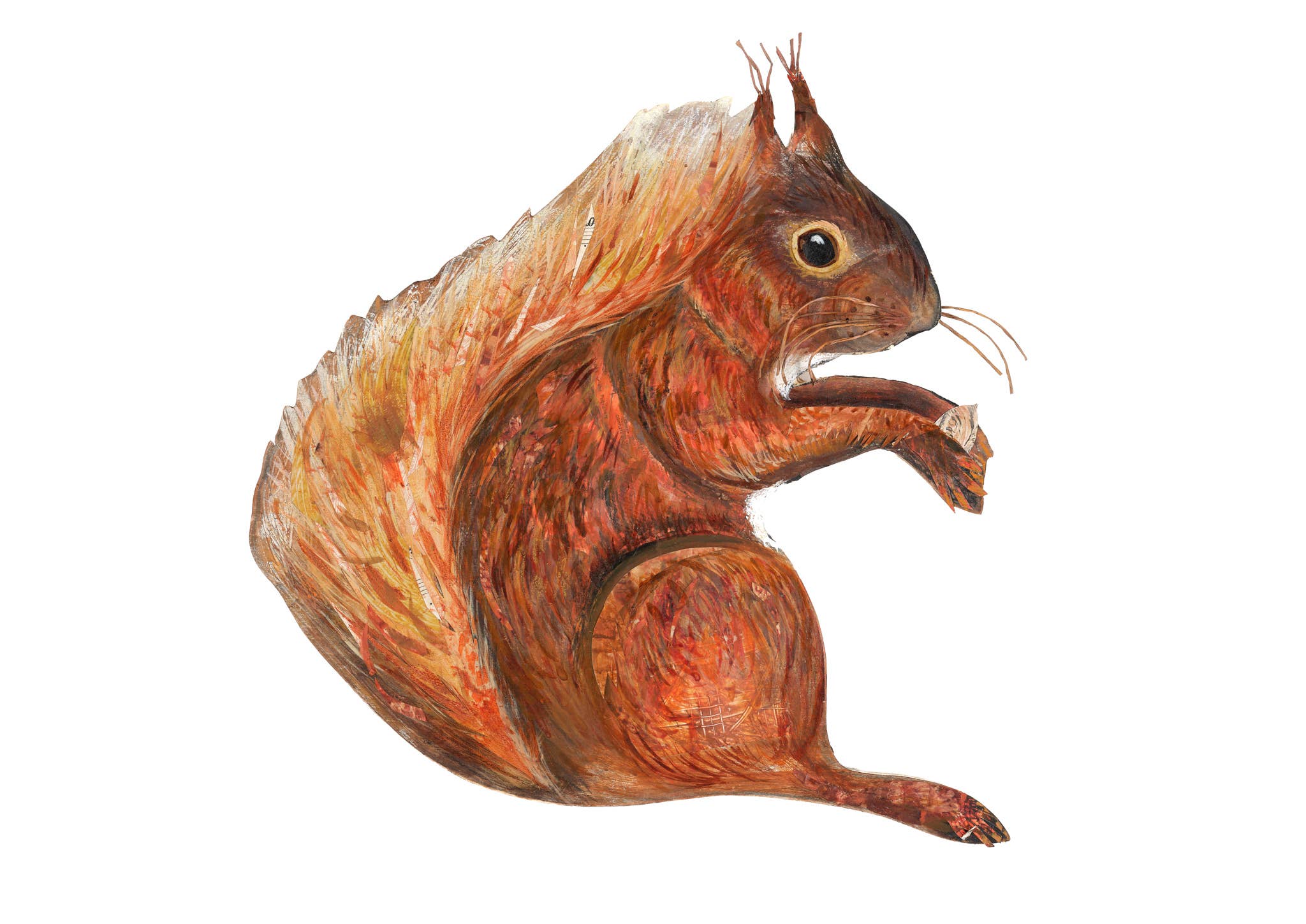 Red Squirrel Birch Plywood Decoration