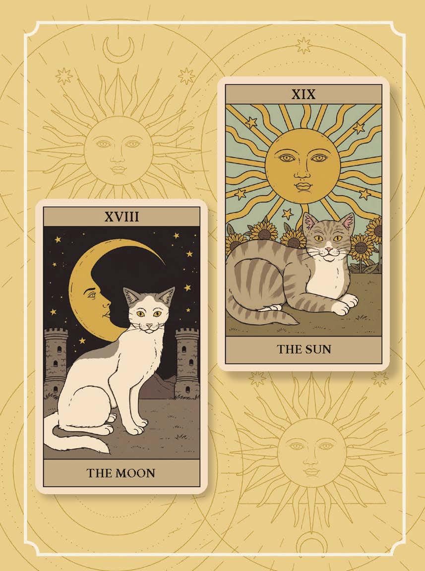 Cats Rule The Earth Tarot : 78-Card Deck & Guidebook