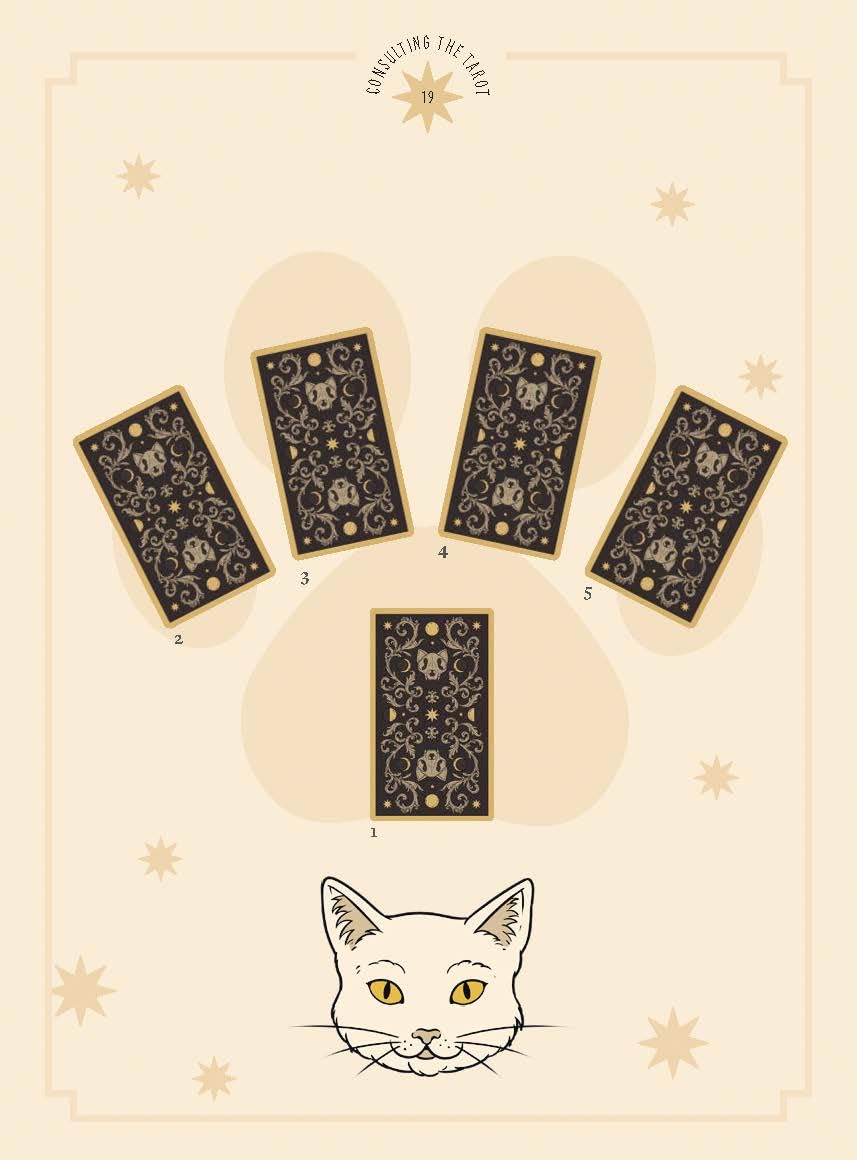 Cats Rule The Earth Tarot : 78-Card Deck & Guidebook