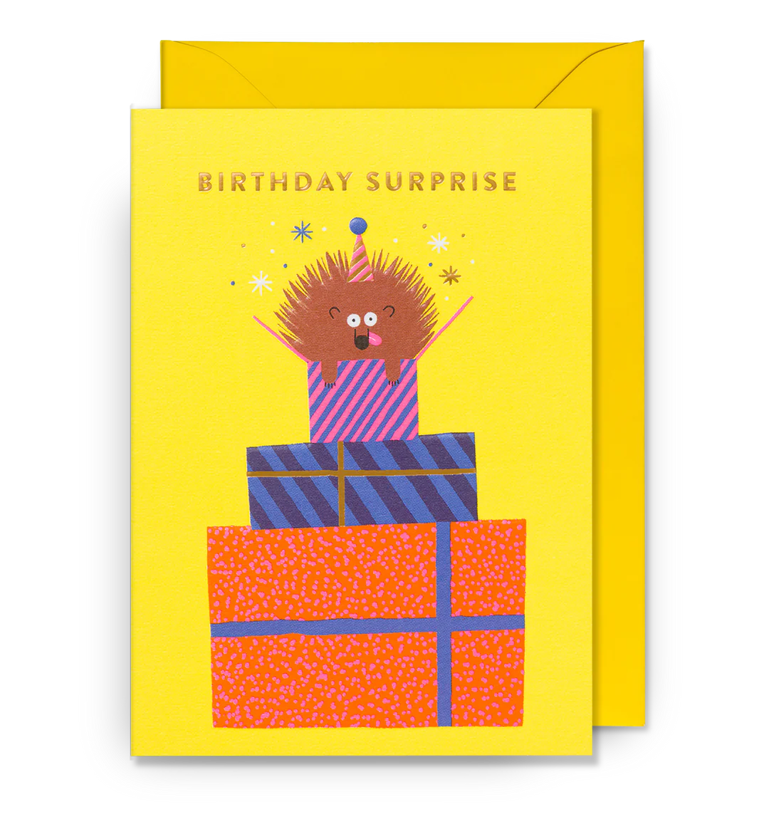 Surprise! Crazy Dog Birthday Card