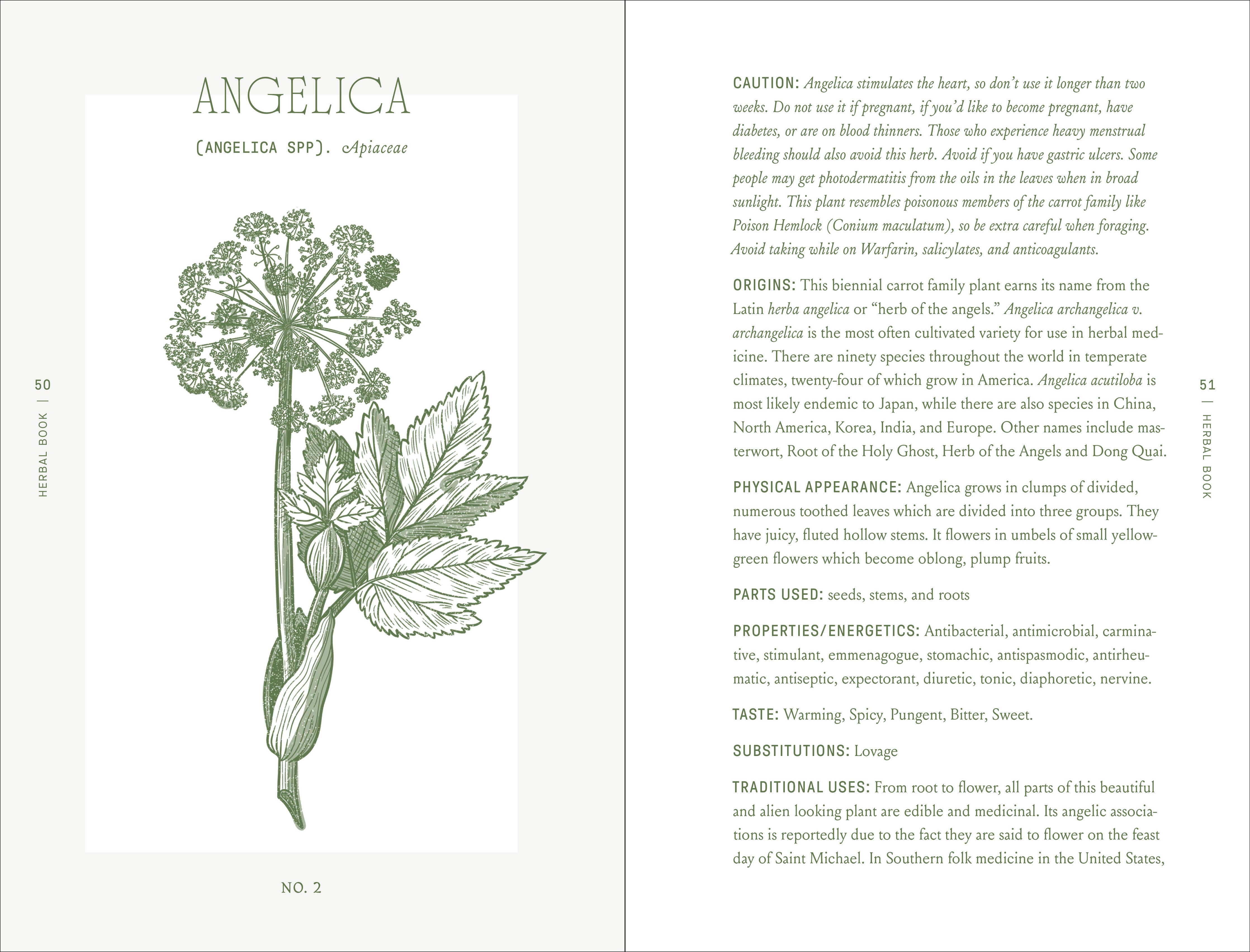 Complete Folk Herbal