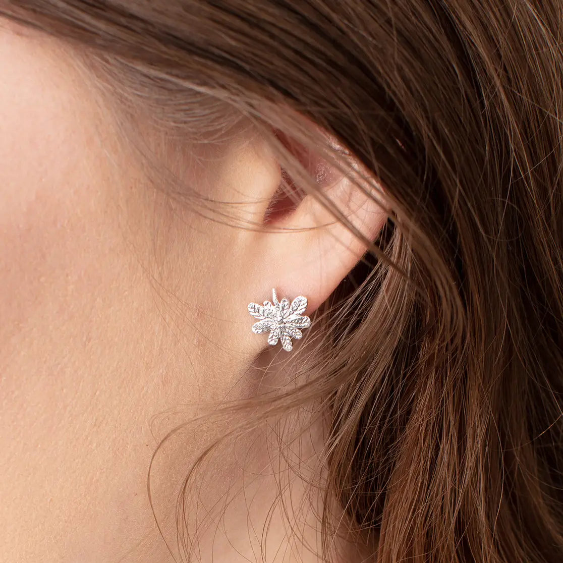 Silver Aralia Leaf Stud Earrings