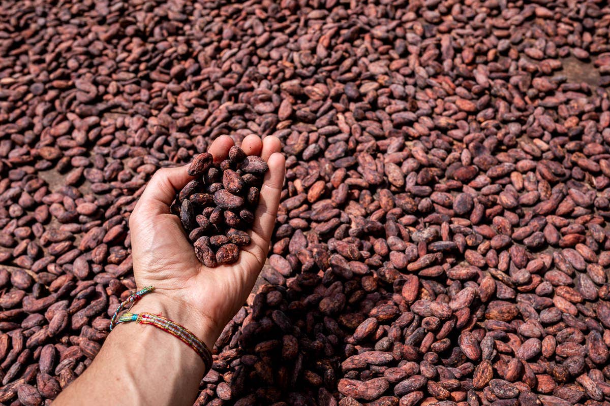 Miso & Caramel Dark Chocolate