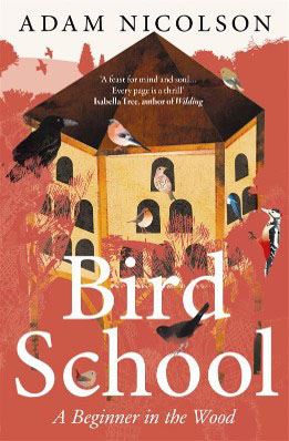 Bird School : A Beginner In The Wood