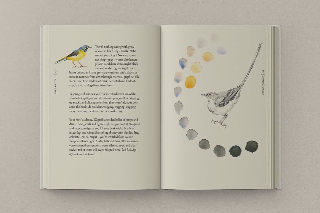Book Of Birds: A Field Guide To Wonder & Loss