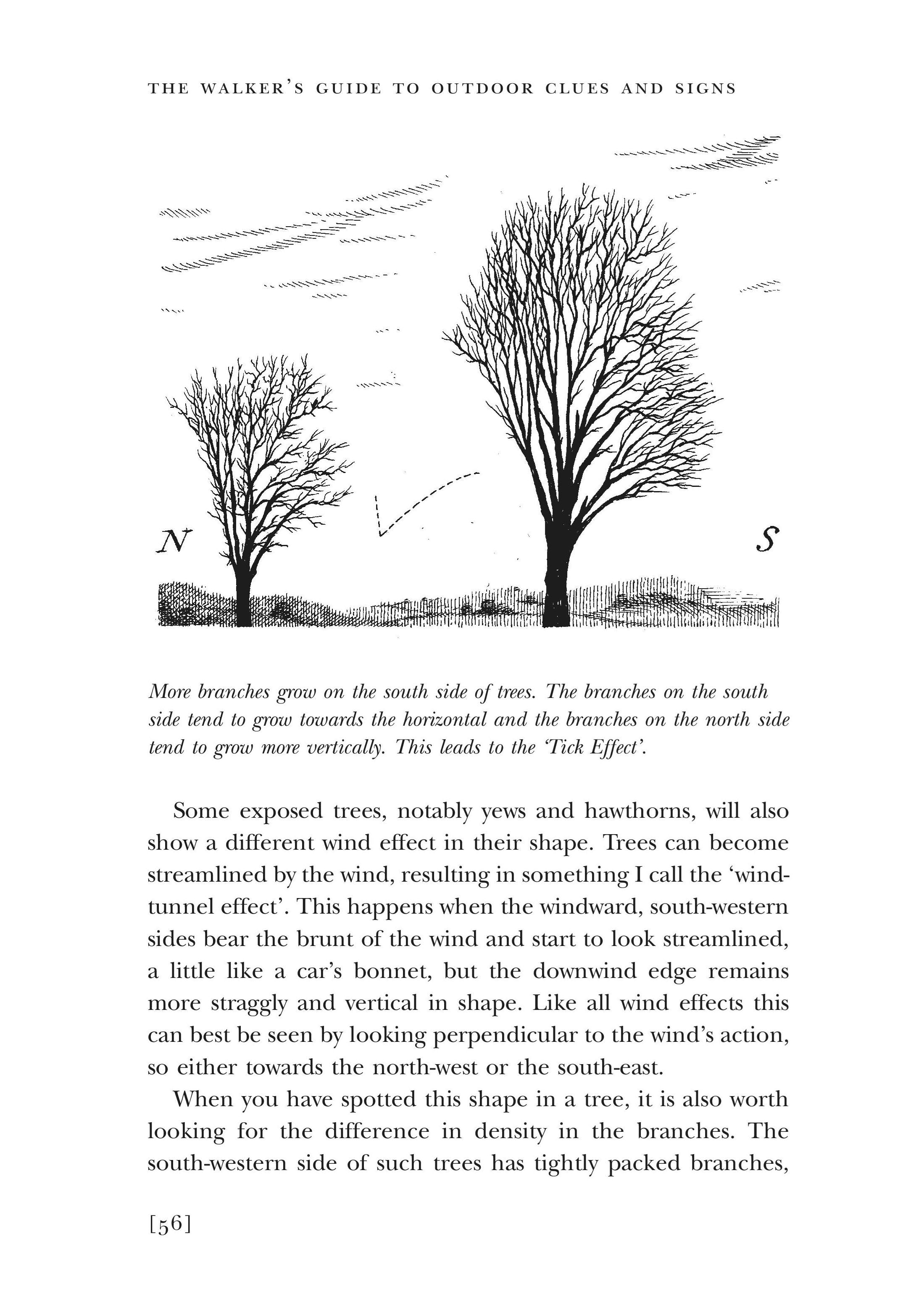 Walkers Guide to Outdoor Clues and Sighns