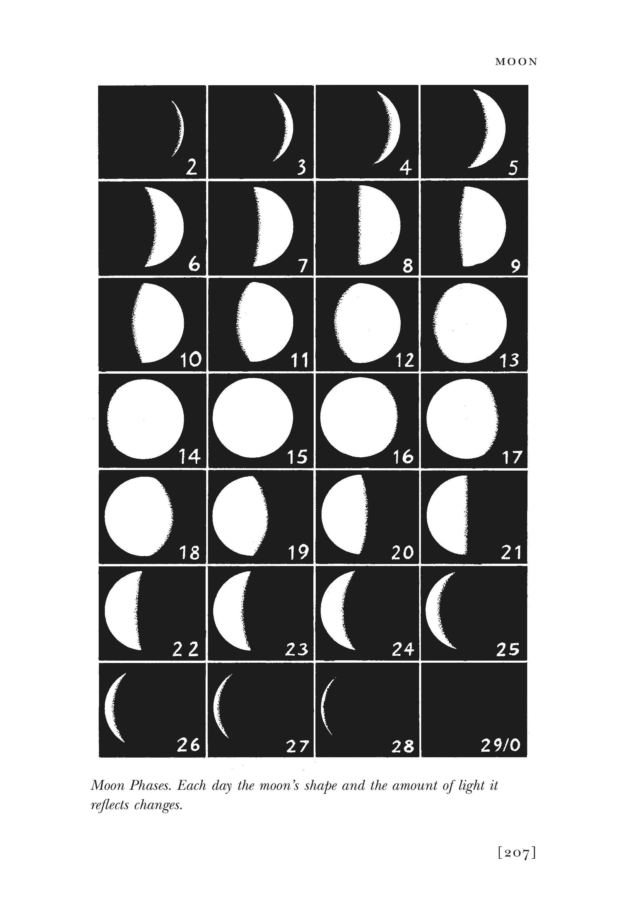 Walkers Guide to Outdoor Clues and Sighns