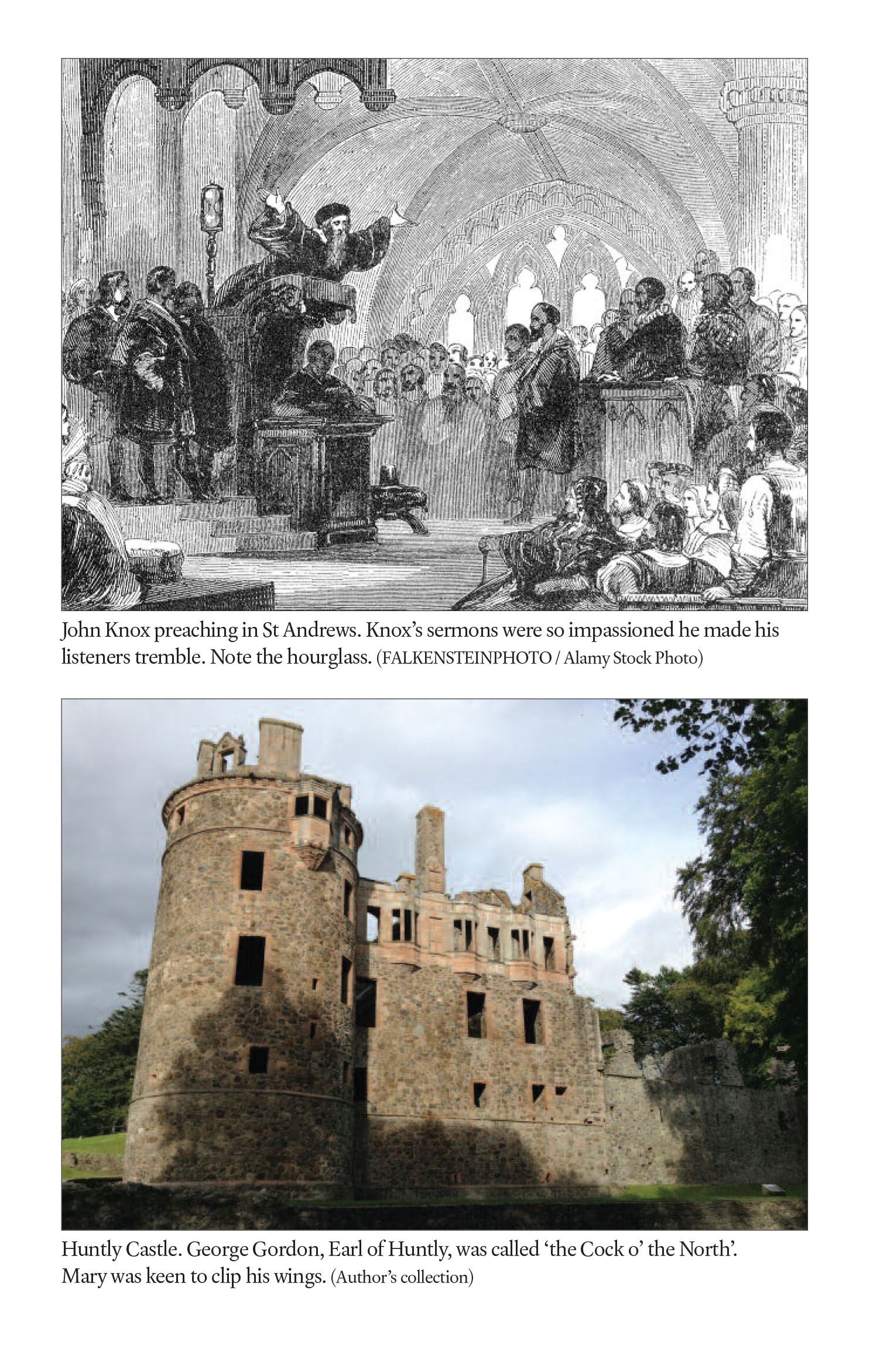 Homecoming : The Scottish Years Of Mary Queen Of Scots
