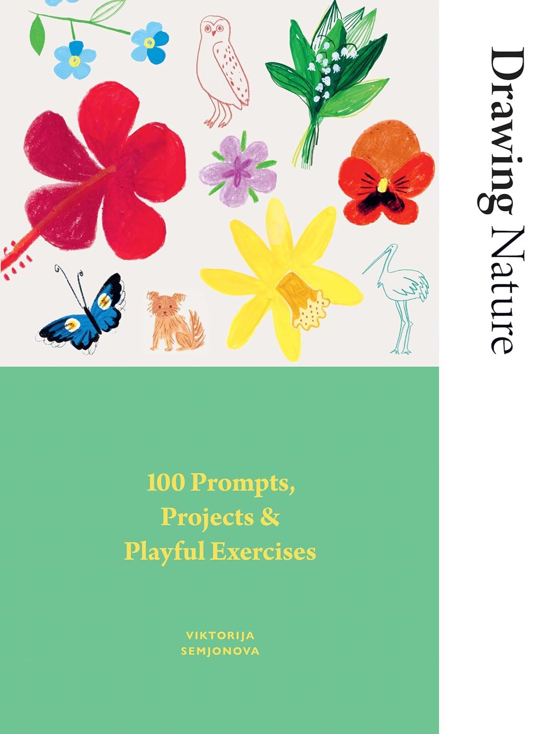 Drawing Nature : 100 Prompts & Projects