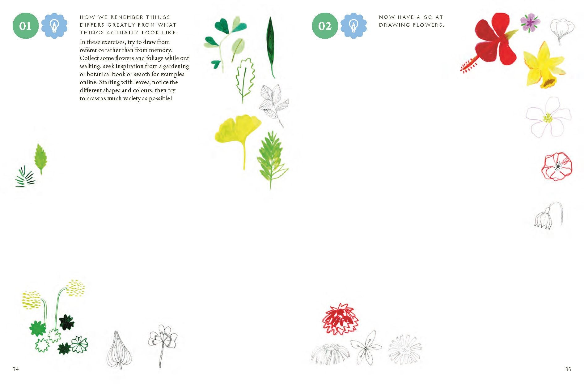 Drawing Nature : 100 Prompts & Projects