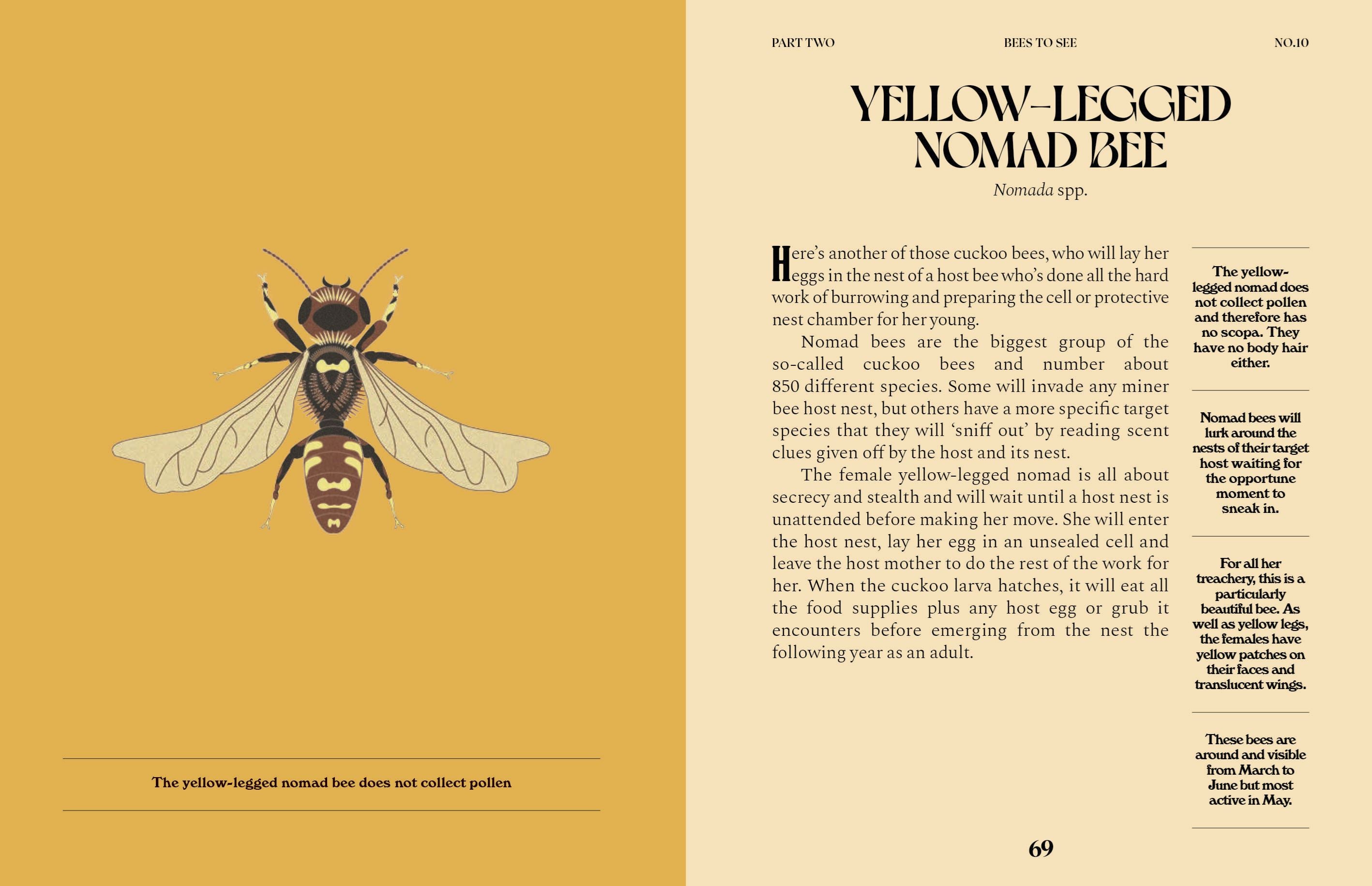 Bees A Guide For The Curious