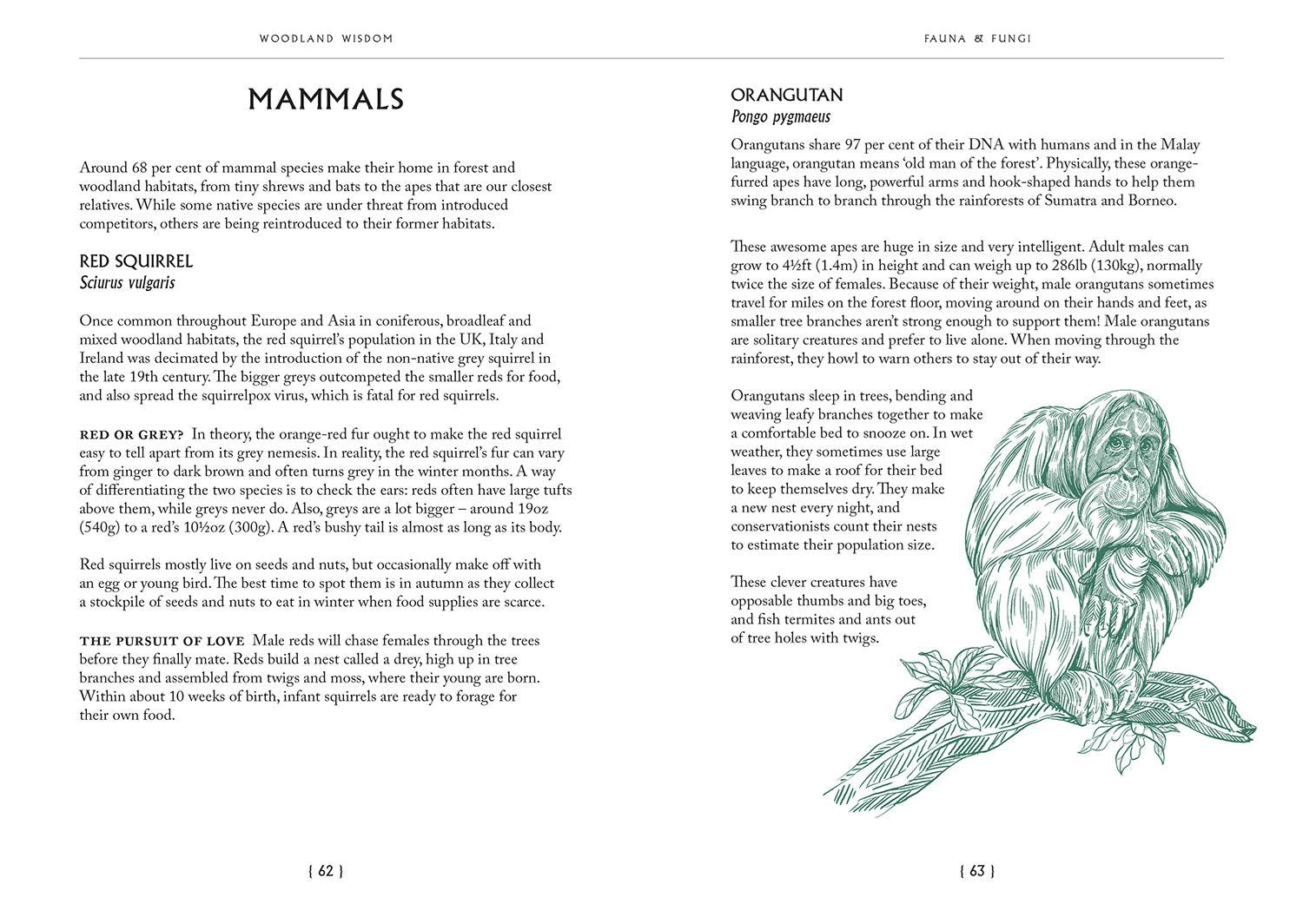 Woodland Wisdom: Facts Fiction Folklore