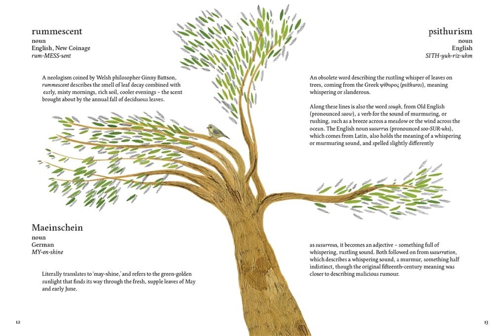 Words To Love A Planet: An Illustrated Dictionary