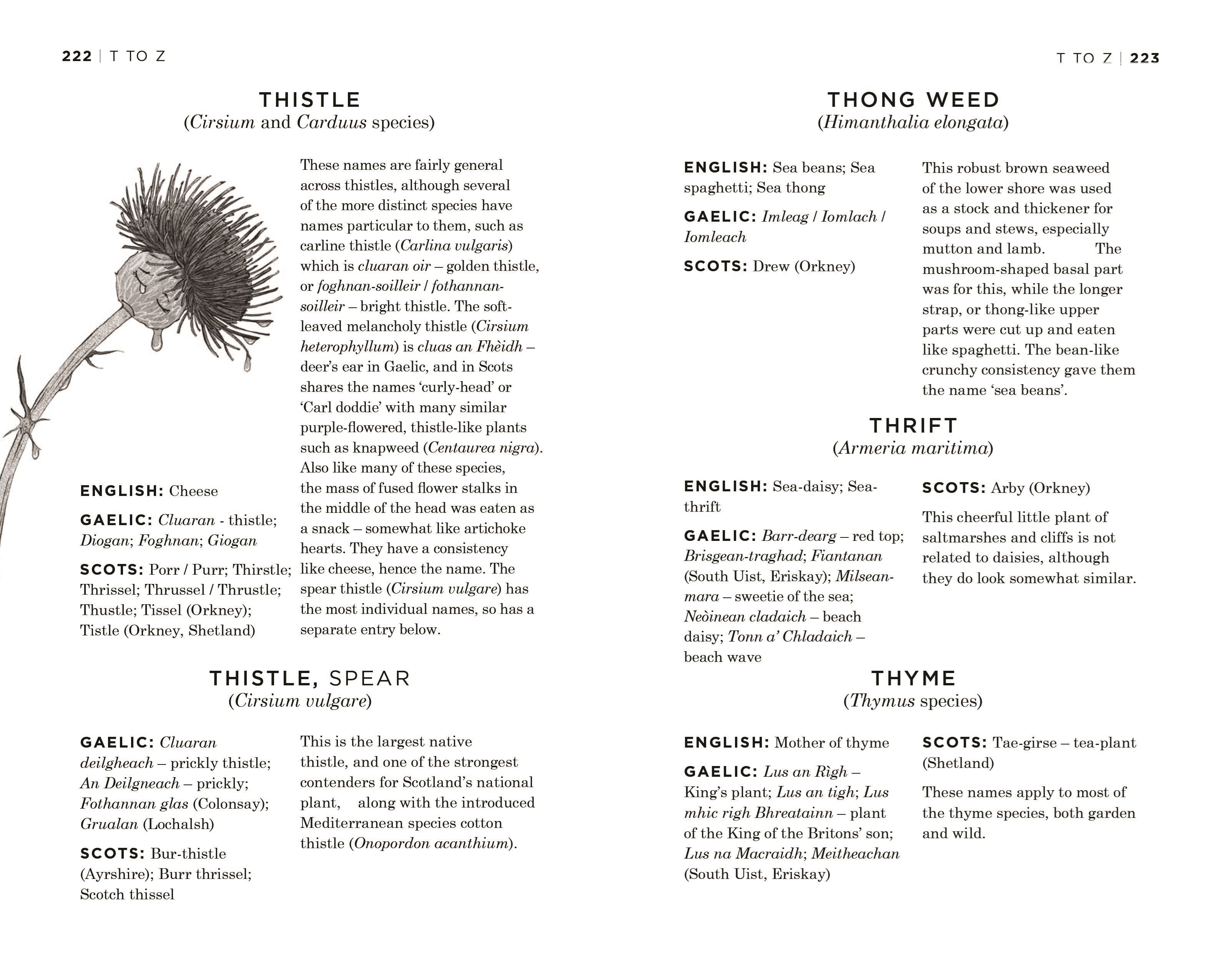 Scottish Plant Names: An A-Z