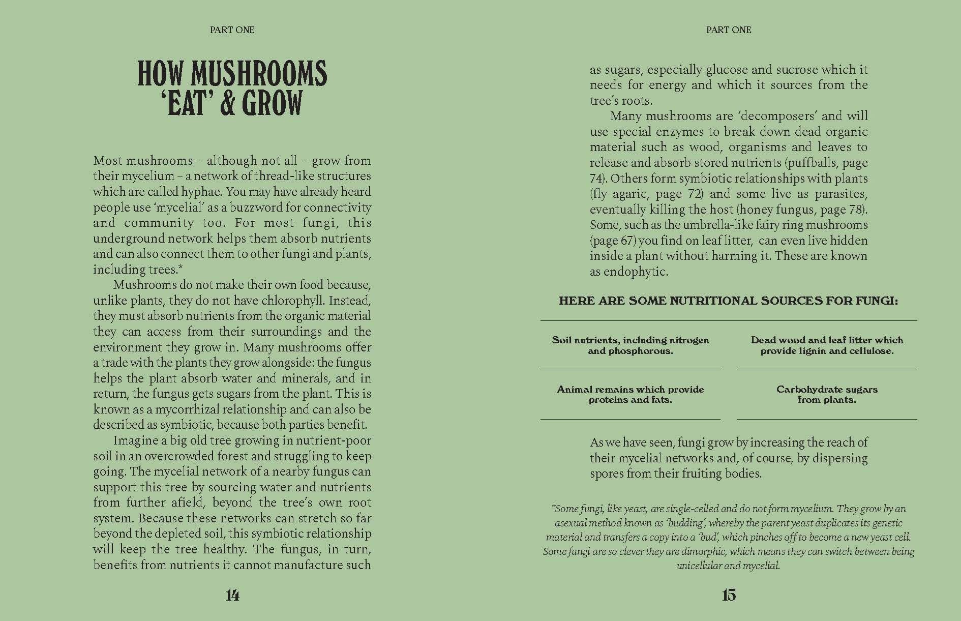Mushrooms A Guide For The Curious