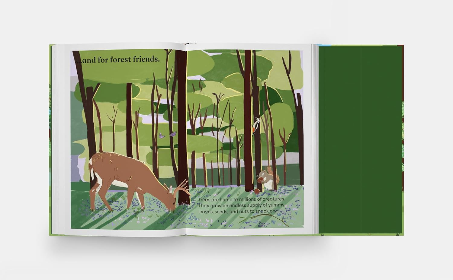A Family Of Trees - My First Book Of Forests