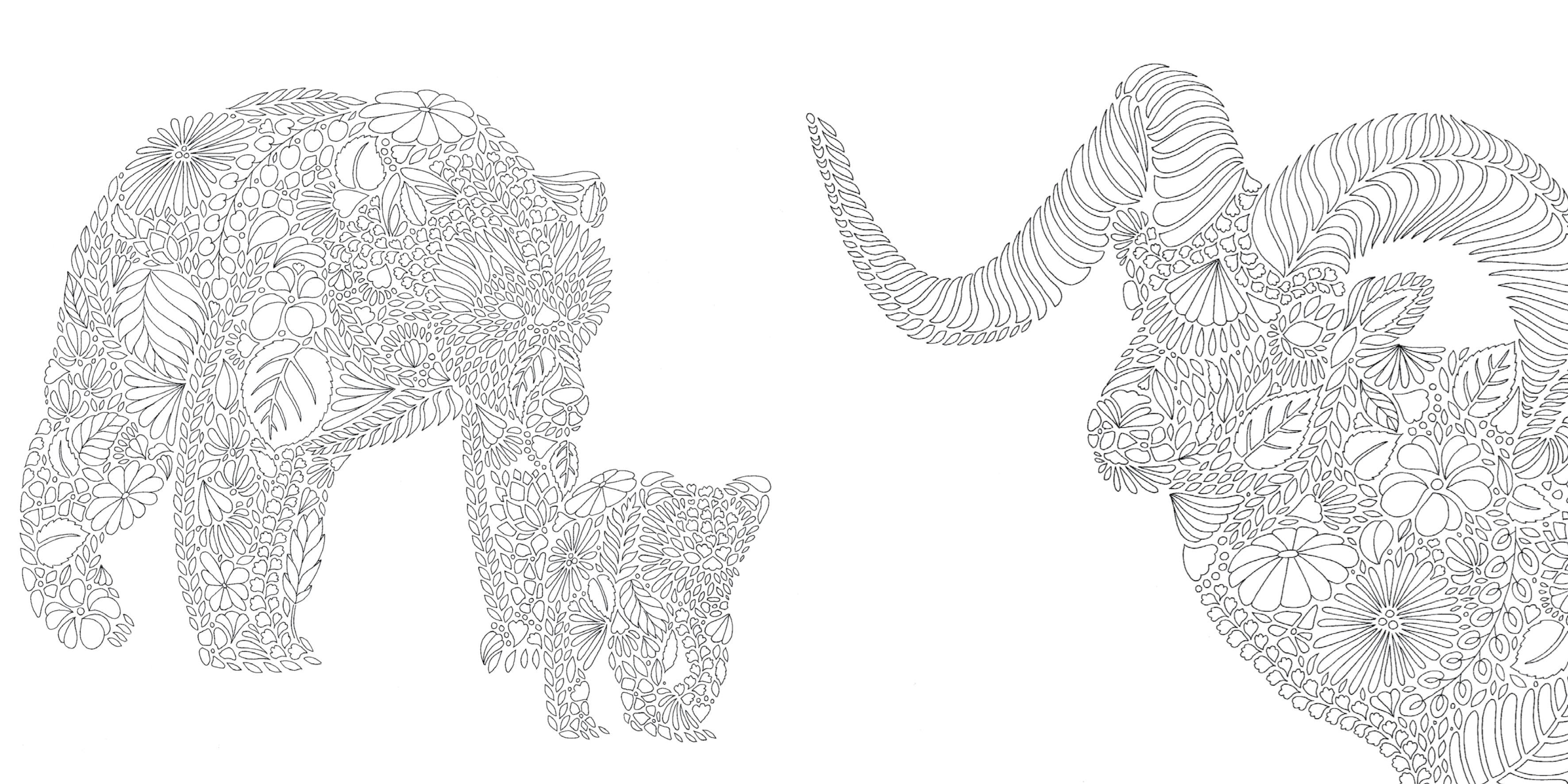 Pocket Colouring Book - Millie Marotta's Animal Kingdom