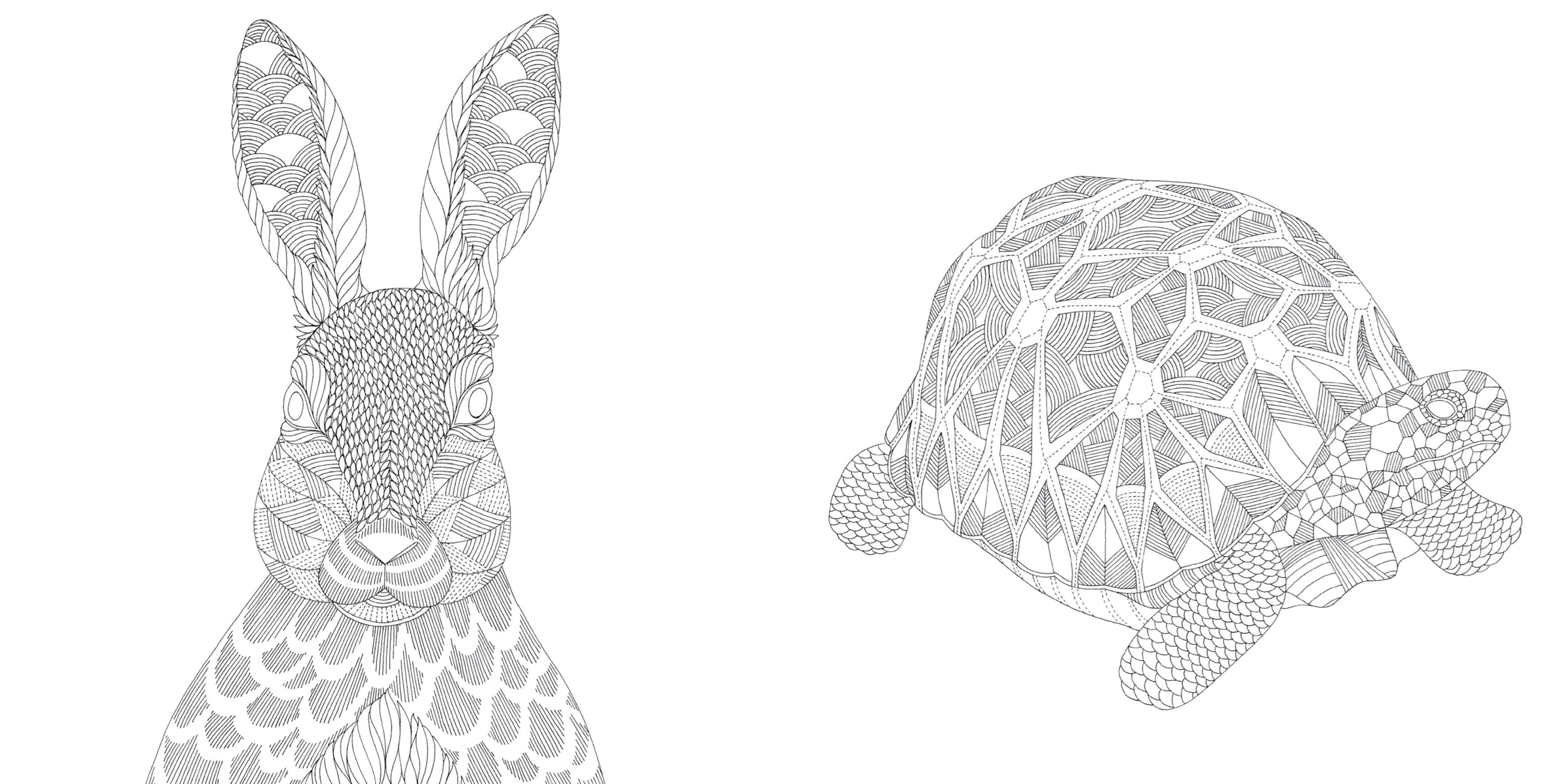 Pocket Colouring Book - Millie Marotta's Animal Kingdom