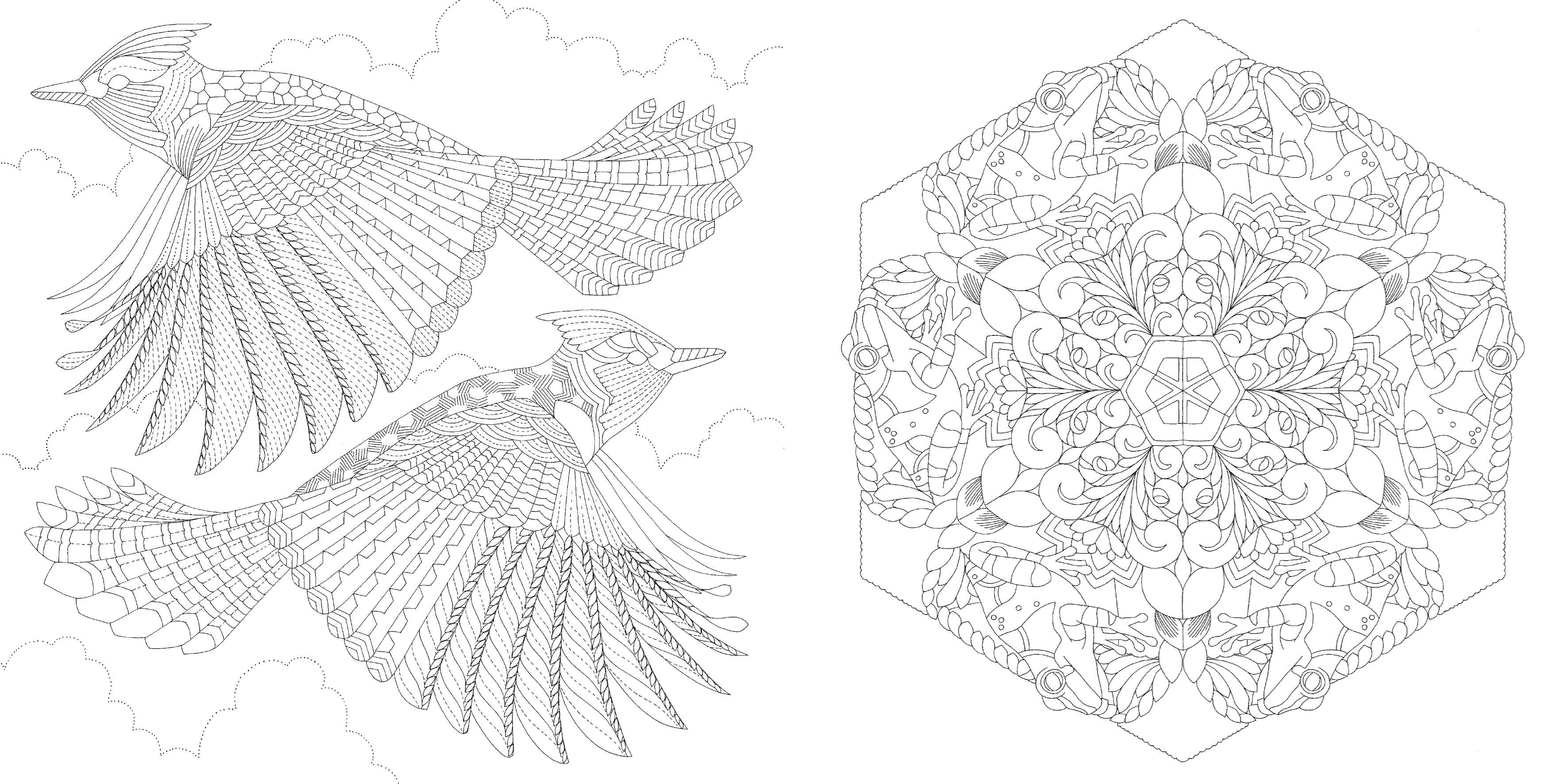 Pocket Colouring Book - Millie Marotta's Beautiful Birds