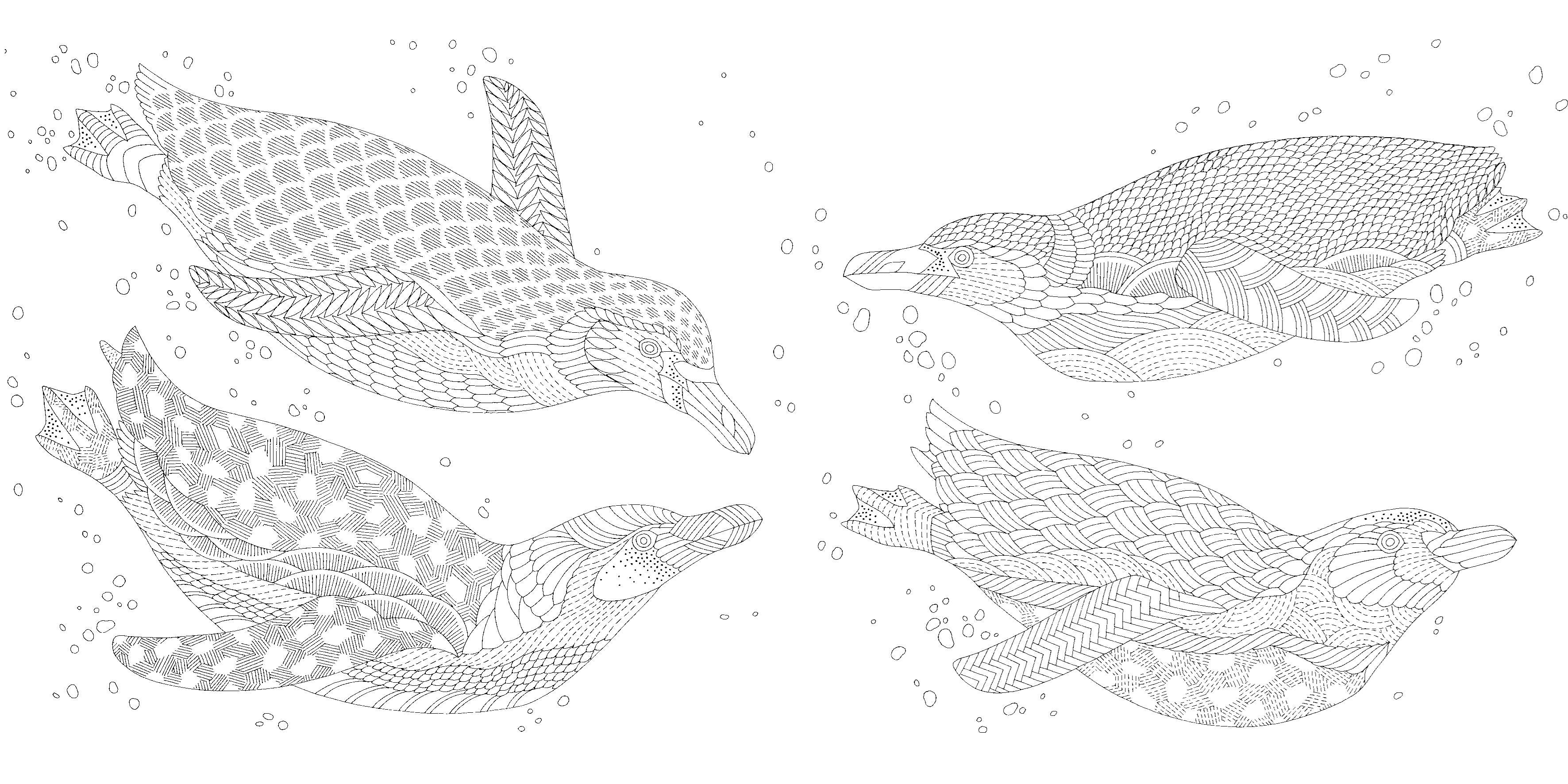 Secrets Of The Sea Pocket Colouring Book