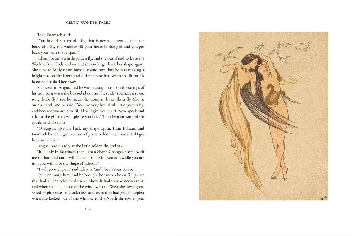 Celtic Wonder Tales