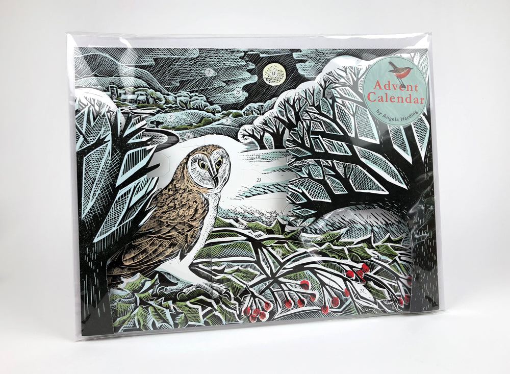 Owl In Winter Advent Calendar