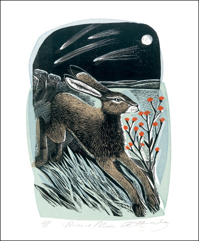 Shooting Stars Blank Card