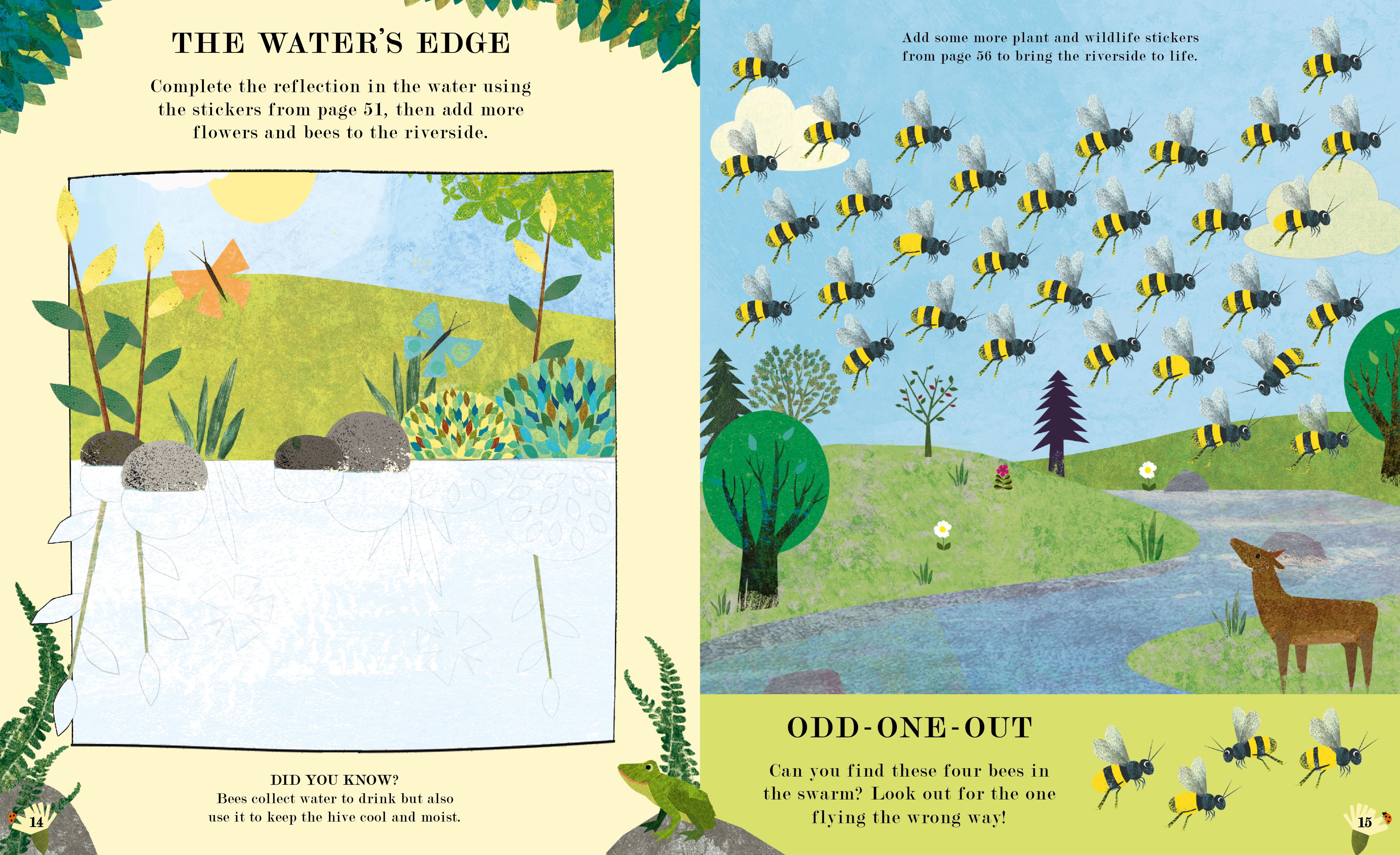 Bee: Natures Tiny Miracle Activity Book