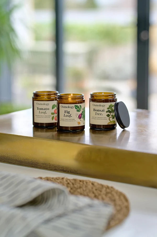 Fig Leaf Scented Jar Candle