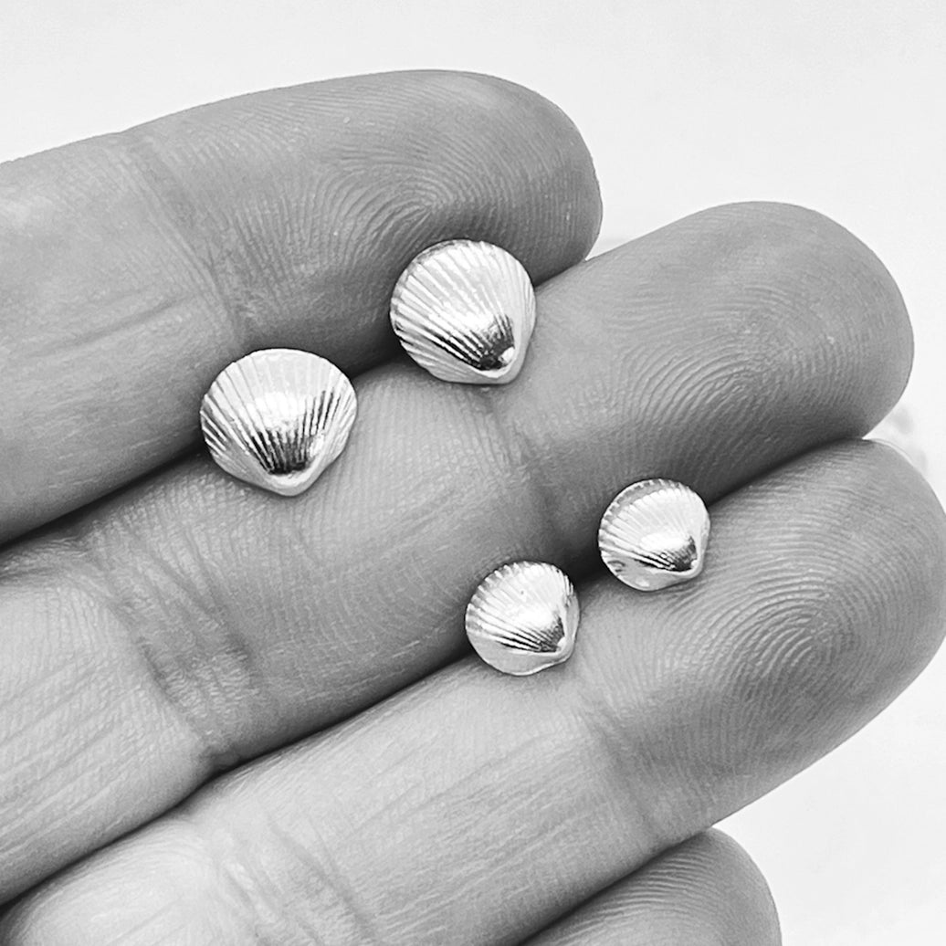 Silver Cockle Shell Earrings