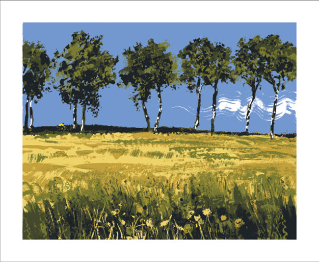 Cyclist, Ariege II Blank Card