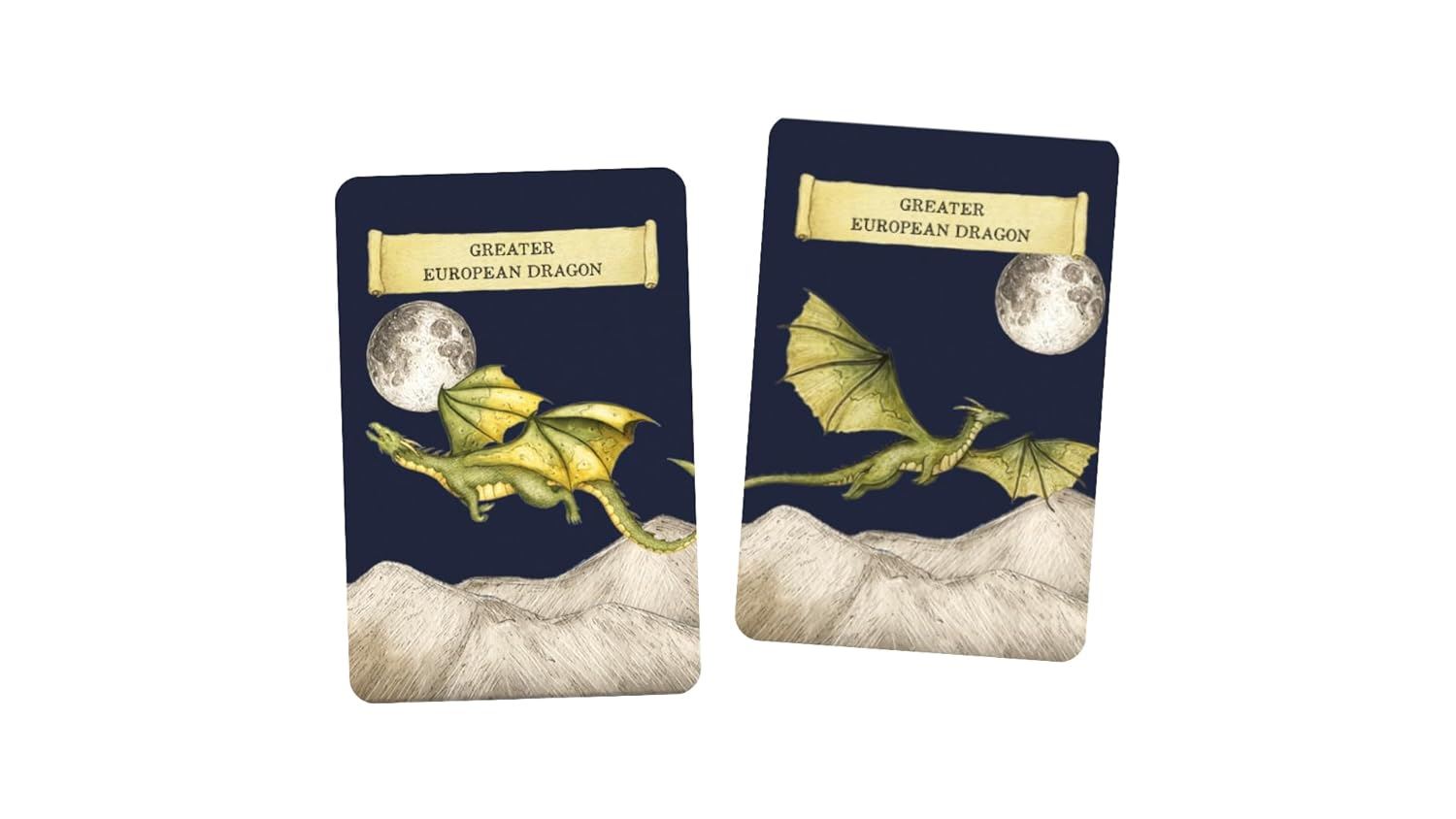 Discover Dragons: A Memory Game
