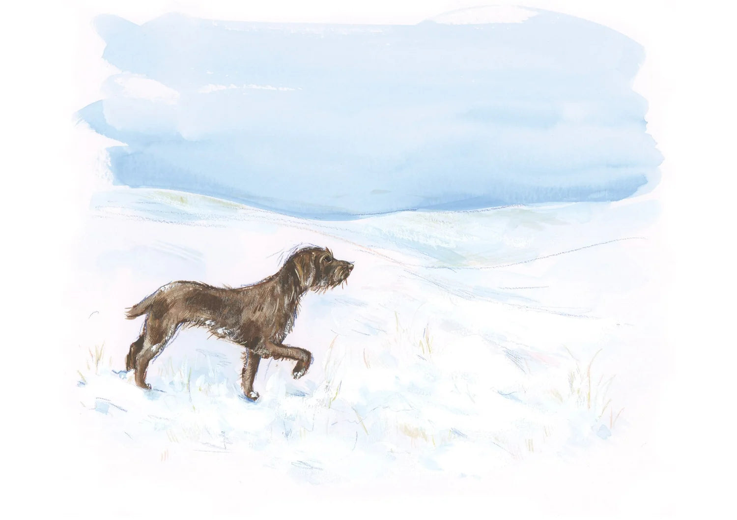 Adventure Dogs 2026 Calendar