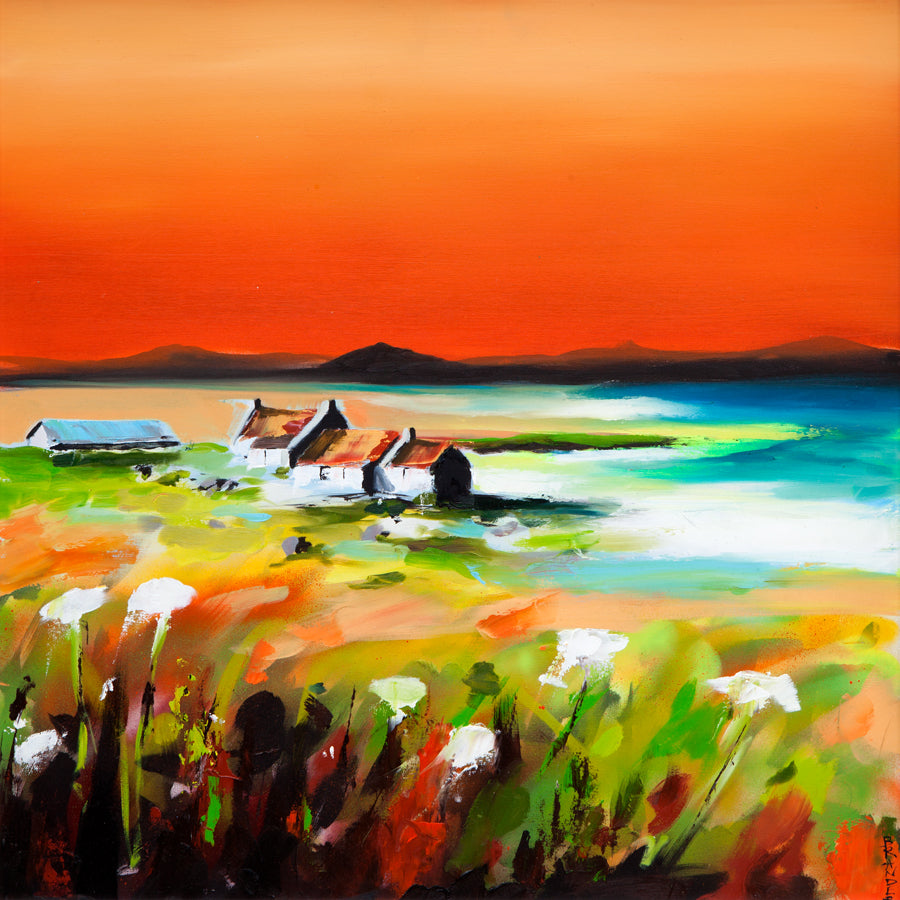 Shepherd's Delight, Iona Art Print