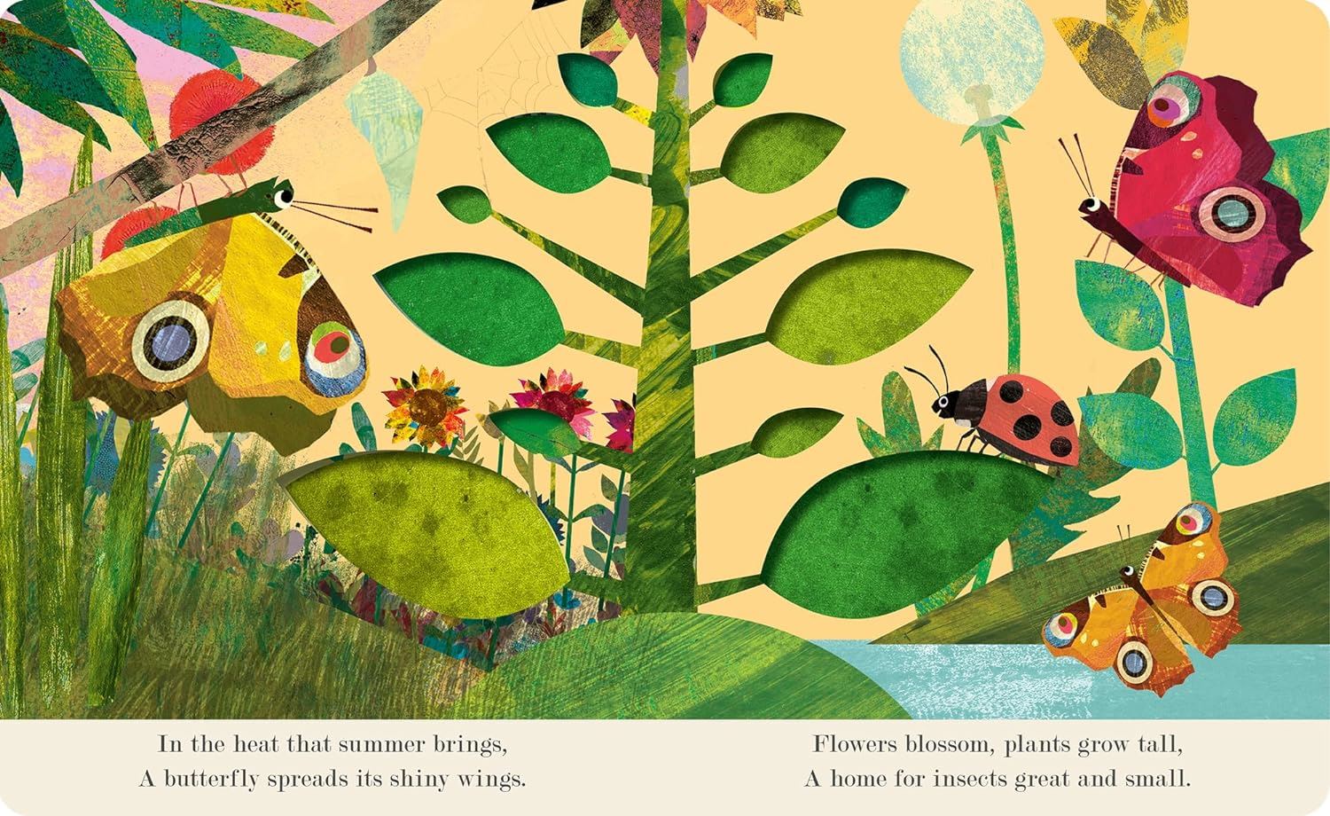 Bugs: Explore A Tiny World Full Of Life