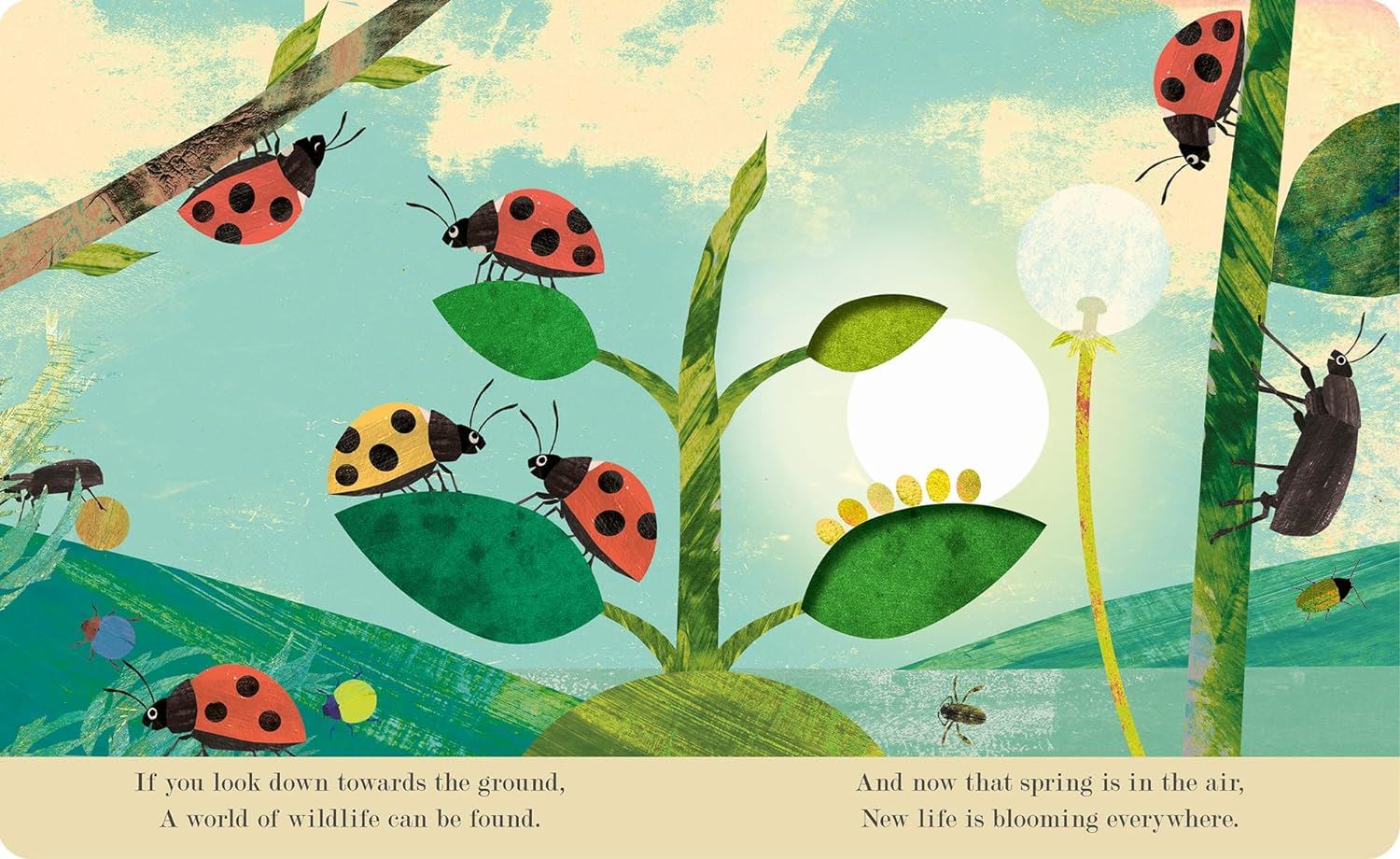 Bugs: Explore A Tiny World Full Of Life