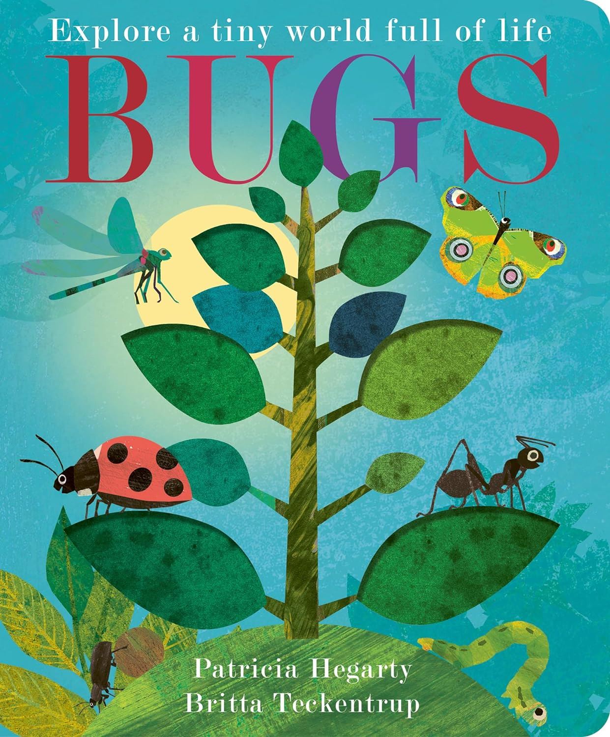 Bugs: Explore A Tiny World Full Of Life