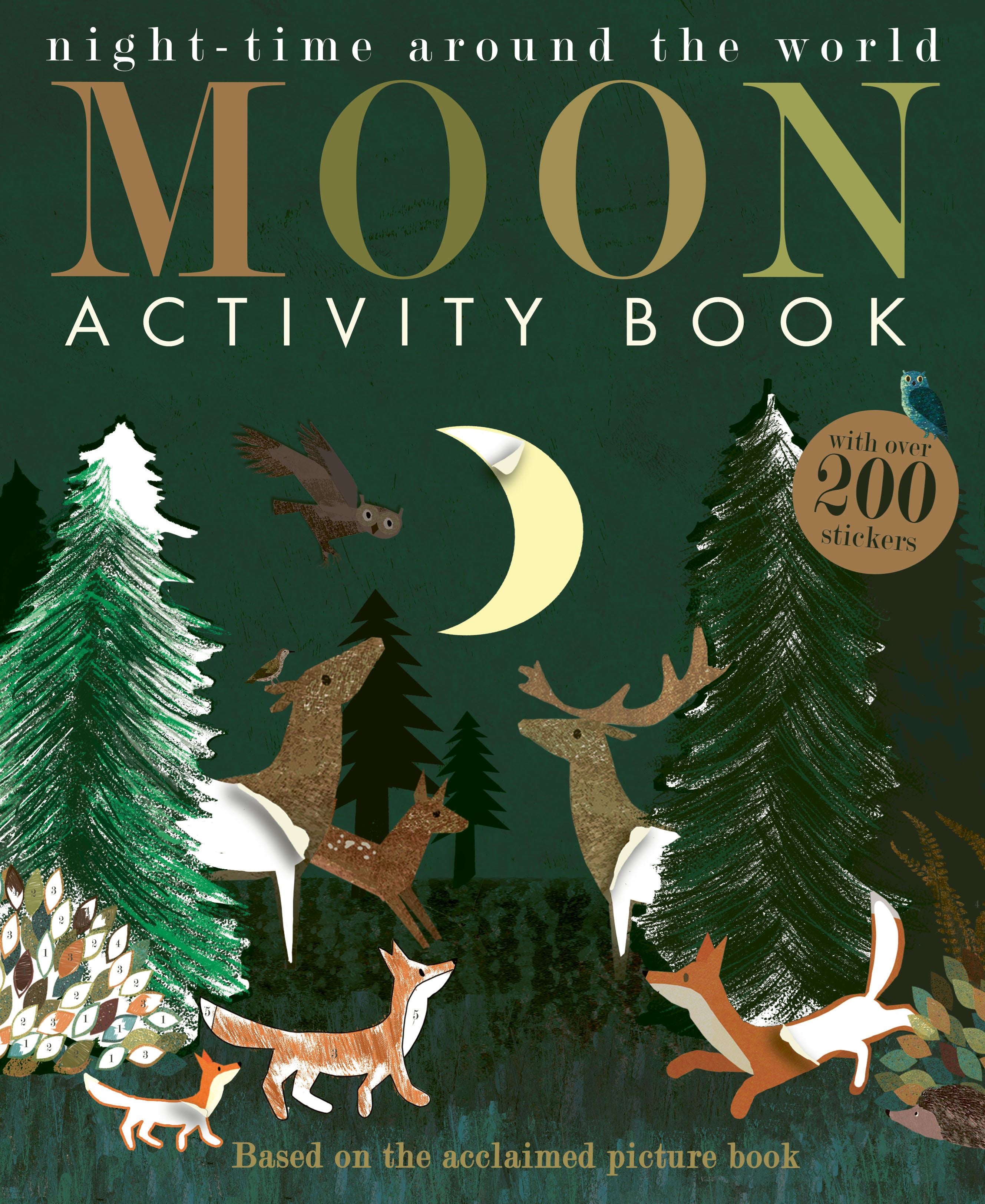 Moon: Night Time Around The World Activity Book