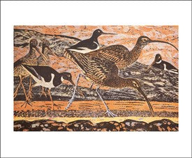 Curlew & Oystercatchers Blank Card