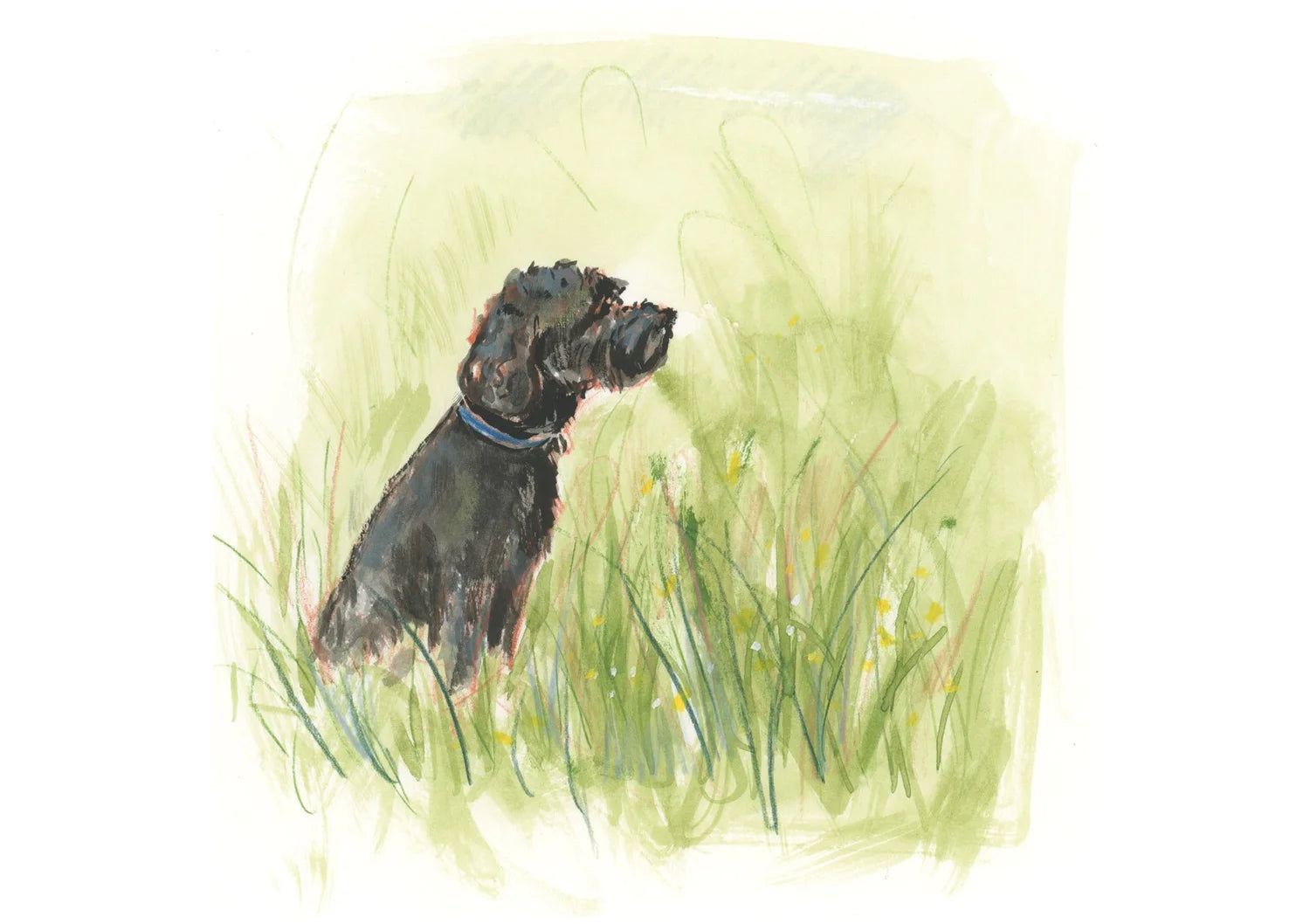 Adventure Dogs 2026 Calendar