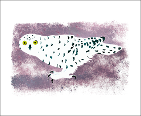 Arctic Visitor Blank Card