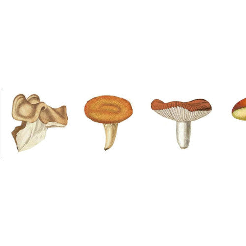 Mushroom Washi Tape