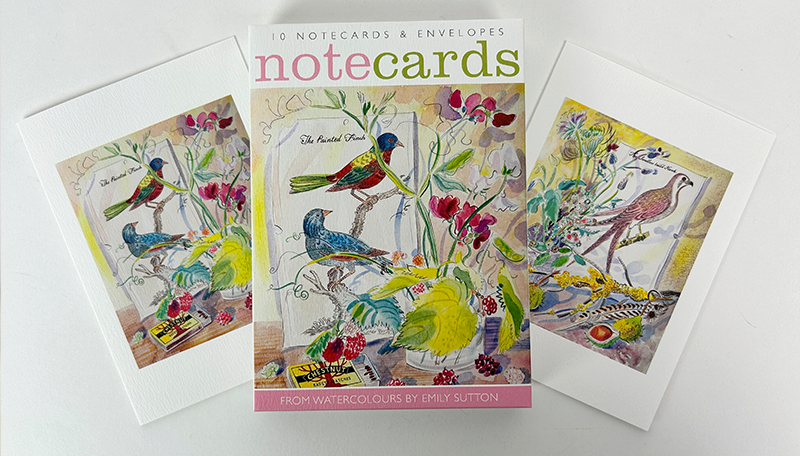 10 The Painted Finch & The Swallow Tail'd Hawk Notecards & Envelopes