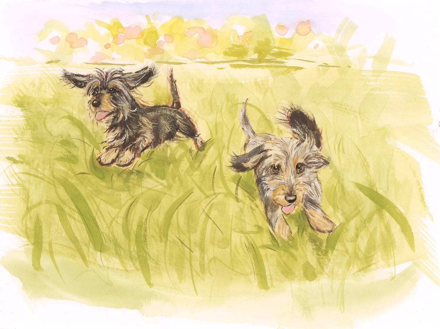 Adventure Dogs 2026 Calendar