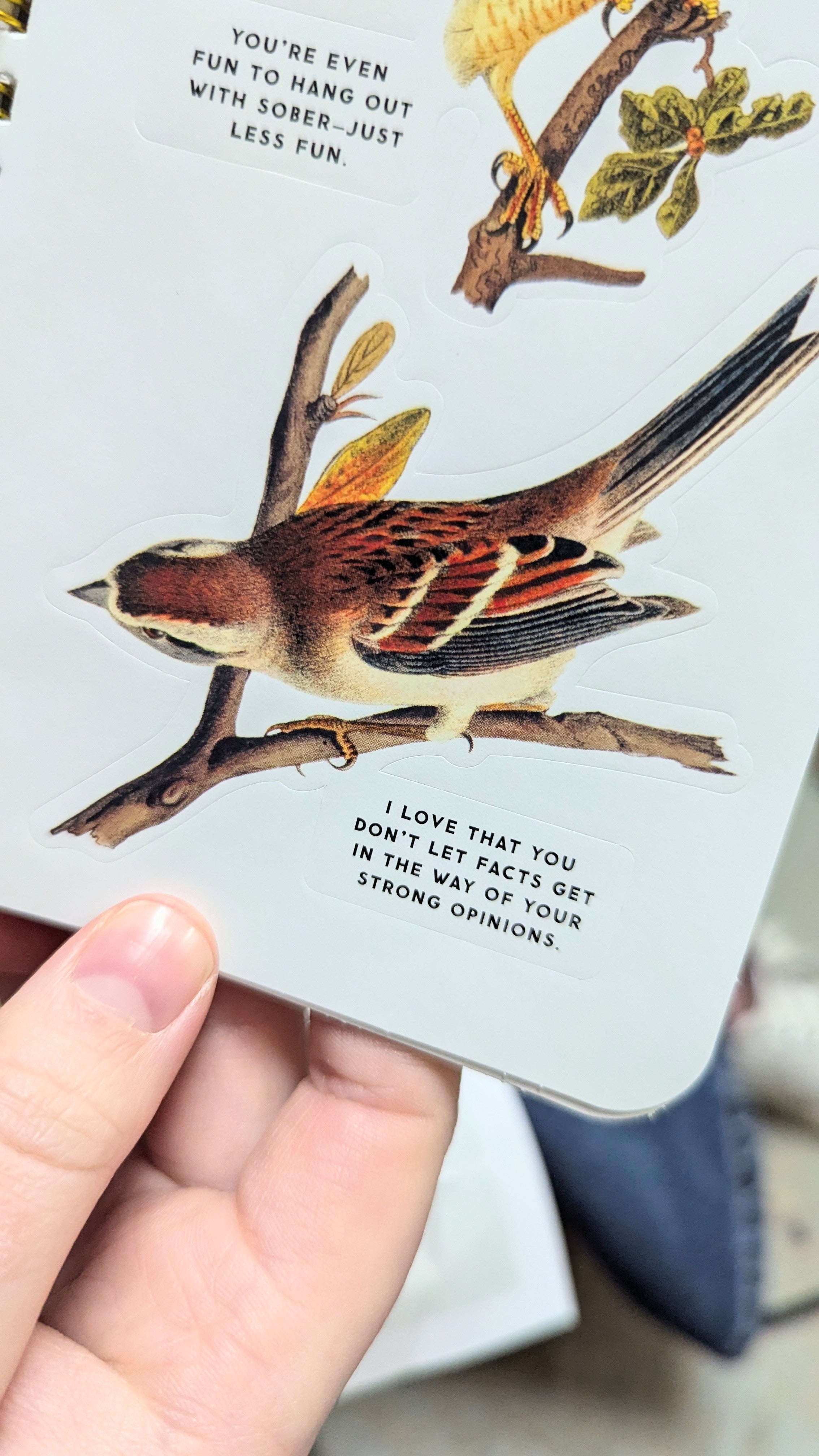 Salty Birds Sticker Book