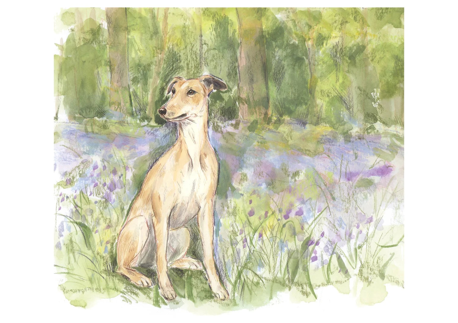 Adventure Dogs 2026 Calendar