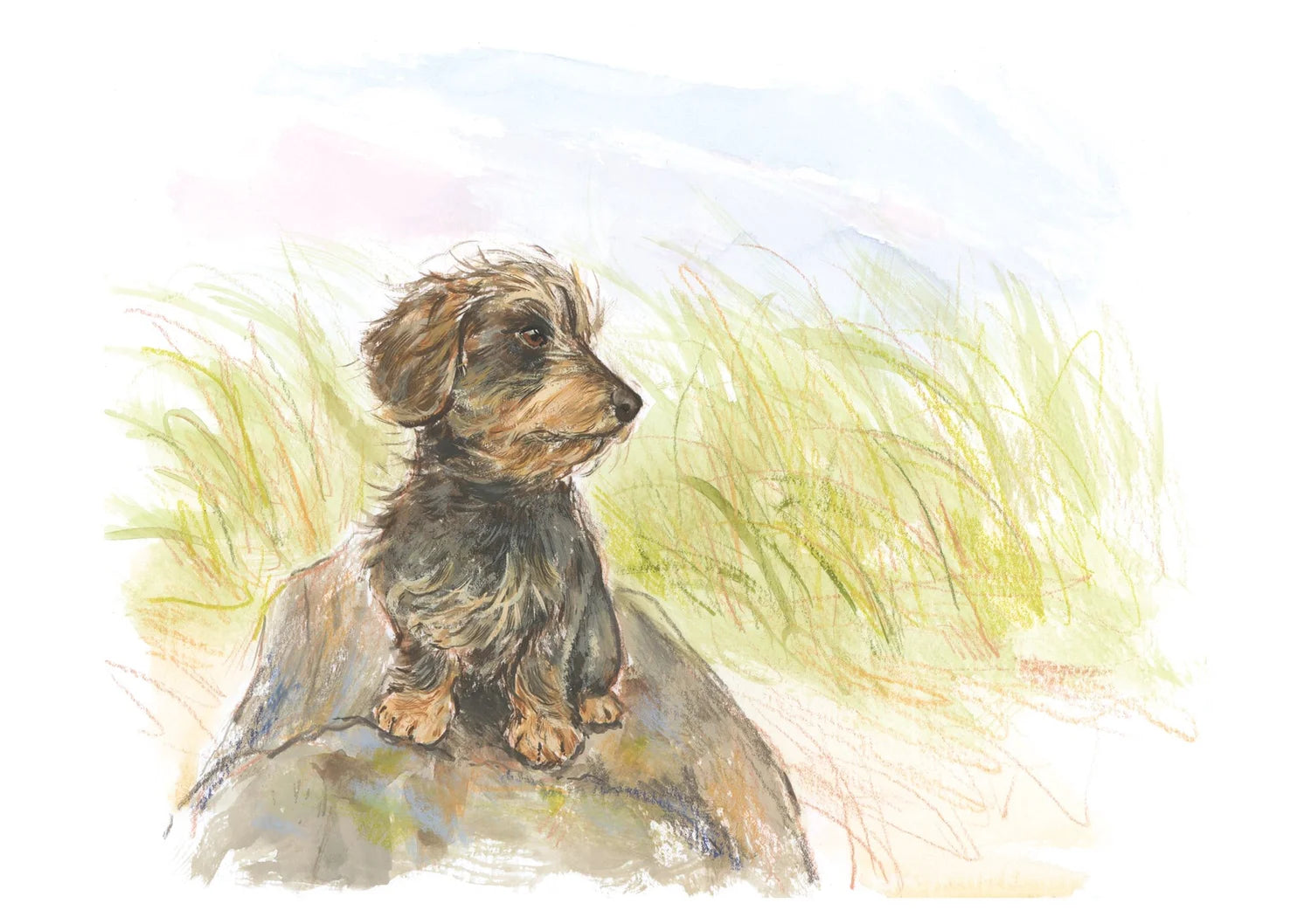 Adventure Dogs 2026 Calendar