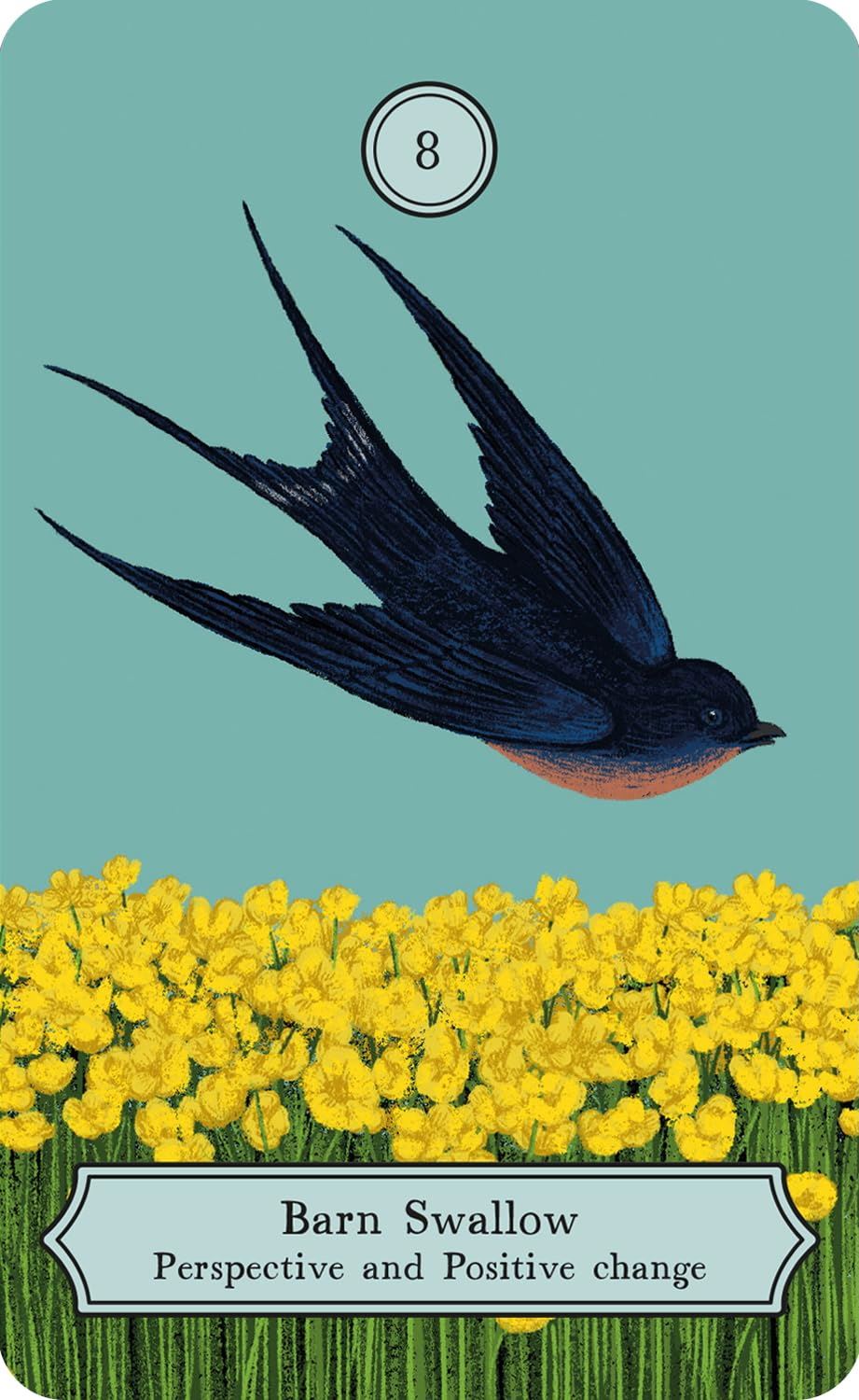 Wisdom Of Birds Oracle Dec & Guidebook