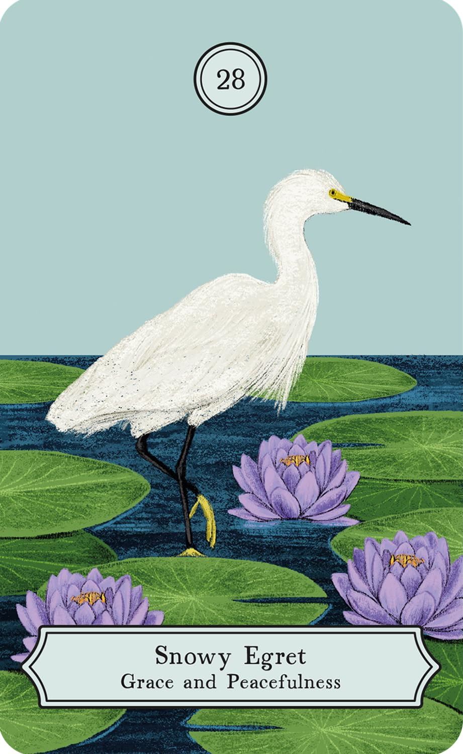 Wisdom Of Birds Oracle Dec & Guidebook
